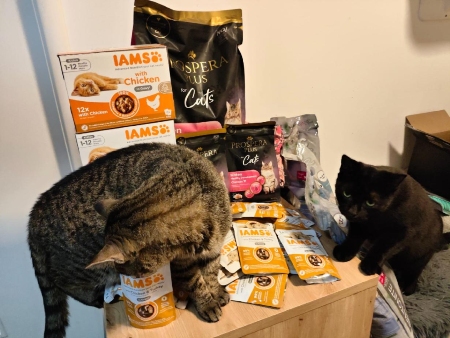 Strašecké depozitum pro kočky